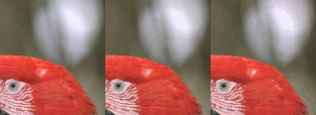 Left to right: Original, sRGB k-means, HyAB k-means.