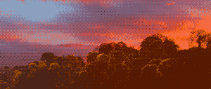 A 16-color image dithered with Knoll’s algorithm.