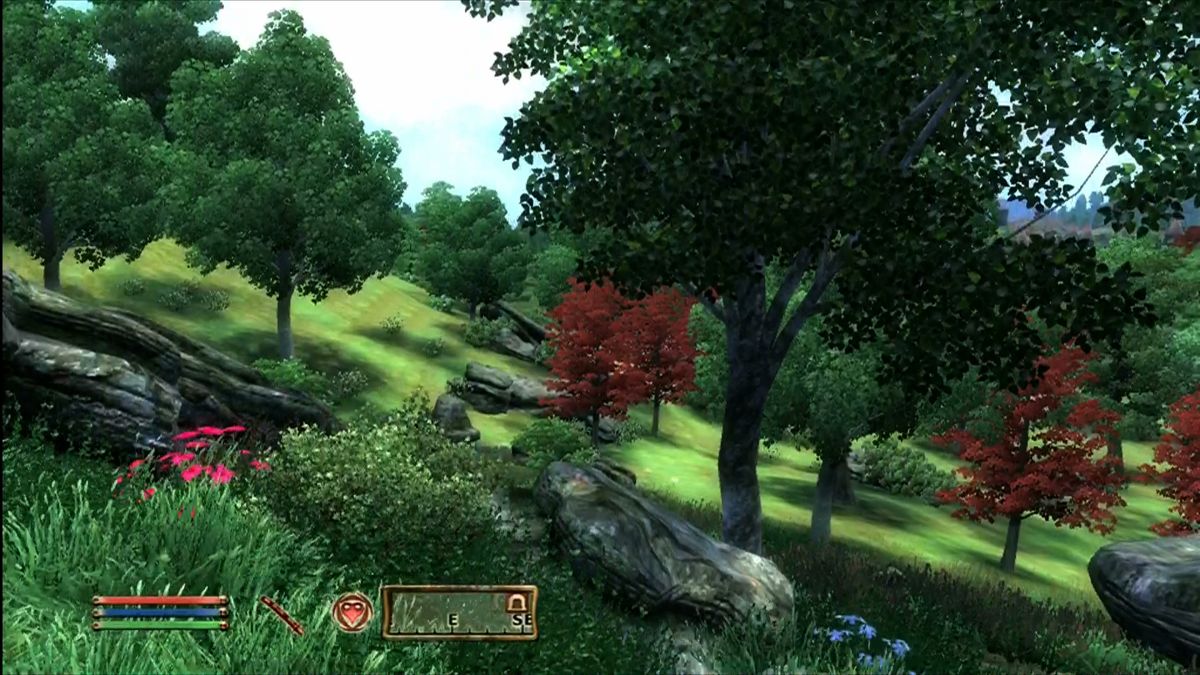 The Elder Scrolls IV: Oblivion (2006, Xbox 360) has beautiful projected tree shadows.